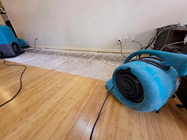 Professional Water Damage Repair technician working in Smith River, CA